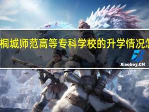 桐城师范高等专科学校的升学情况怎么样