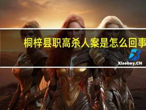 桐梓县职高杀人案是怎么回事