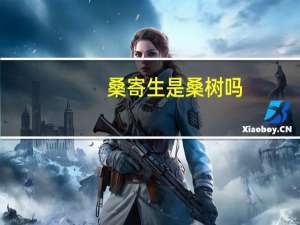 桑寄生是桑树吗