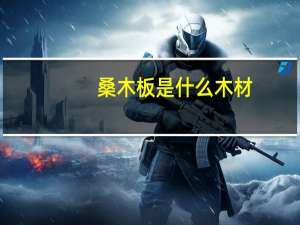 桑木板是什么木材