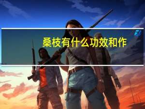 桑枝有什么功效和作（桑枝有什么功效）