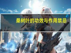 桑树叶的功效与作用禁忌（桑树叶的功效与作用）