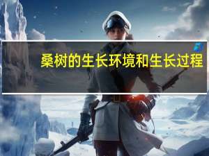 桑树的生长环境和生长过程