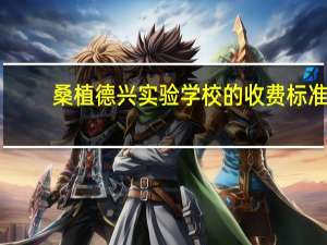 桑植德兴实验学校的收费标准