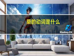 桑的动词是什么