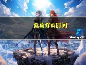 桑葚修剪时间