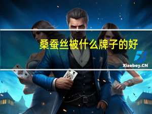 桑蚕丝被什么牌子的好