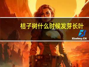 桔子树什么时候发芽长叶