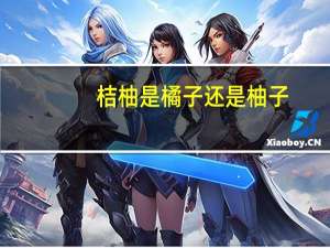 桔柚是橘子还是柚子
