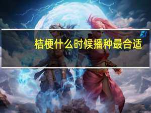 桔梗什么时候播种最合适