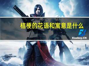 桔梗的花语和寓意是什么