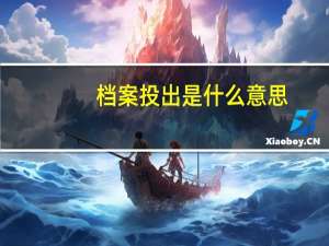 档案投出是什么意思