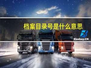 档案目录号是什么意思