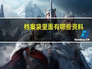 档案袋里面有哪些资料