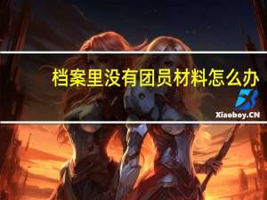 档案里没有团员材料怎么办