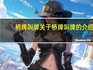 桥牌叫牌 关于桥牌叫牌的介绍