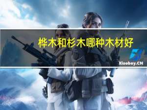 桦木和杉木哪种木材好