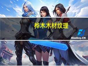 桦木木材纹理