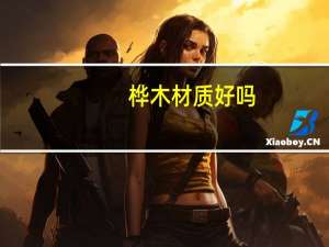 桦木材质好吗