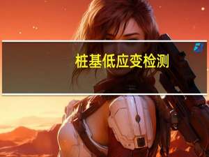 桩基低应变检测（桩基检测方法）