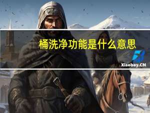 桶洗净功能是什么意思