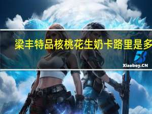 梁丰 特品核桃花生奶卡路里是多少