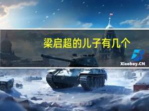 梁启超的儿子有几个