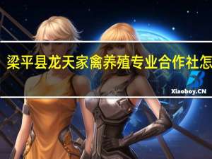 梁平县龙天家禽养殖专业合作社怎么样