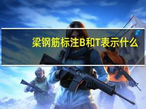梁钢筋标注B和T表示什么