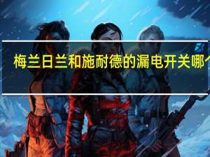 梅兰日兰和施耐德的漏电开关哪个好（施耐德与梅兰日兰的关系）