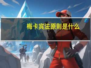 梅卡宾法原则是什么