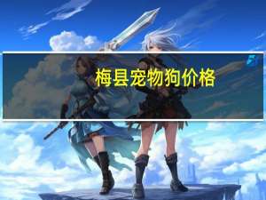 梅县宠物狗价格