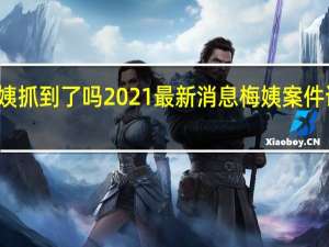 梅姨抓到了吗2021最新消息 梅姨案件详细介绍