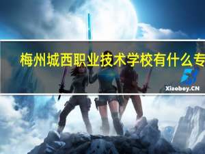 梅州城西职业技术学校有什么专业