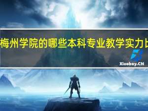 梅州学院的哪些本科专业教学实力比较高
