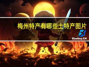 梅州特产有哪些土特产图片（梅州特产有哪些）