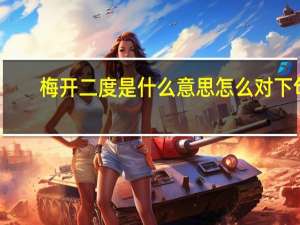 梅开二度是什么意思怎么对下句