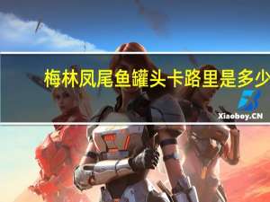 梅林 凤尾鱼罐头卡路里是多少