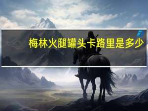 梅林 火腿罐头卡路里是多少