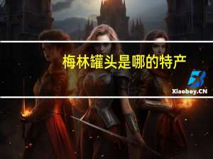 梅林罐头是哪的特产（梅林-罐头类食品品牌简介）