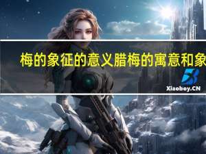 梅的象征的意义 腊梅的寓意和象征