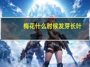 梅花什么时候发芽长叶