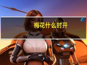 梅花什么时开