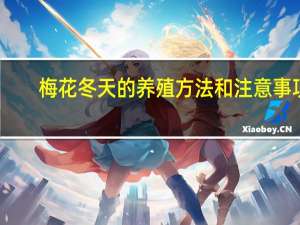 梅花冬天的养殖方法和注意事项