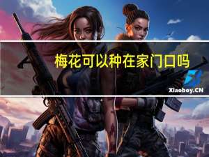 梅花可以种在家门口吗