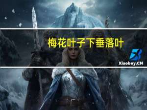 梅花叶子下垂落叶