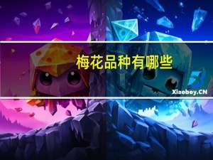 梅花品种有哪些