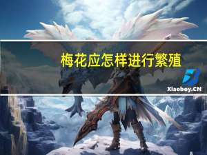 梅花应怎样进行繁殖