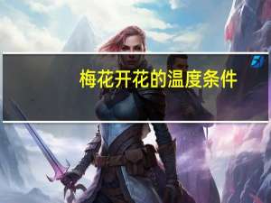 梅花开花的温度条件
