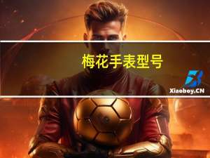 梅花手表型号